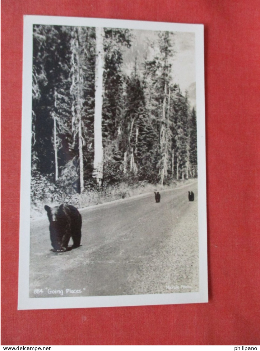 RPPC.  Bears Going Places.    Ref 6409 - Ours