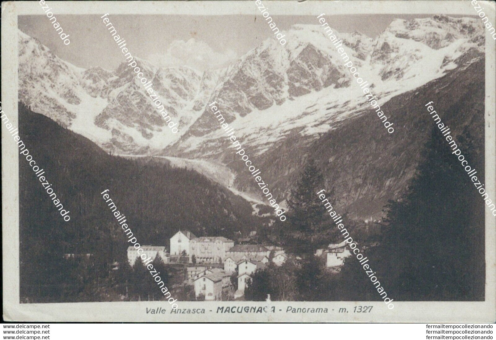 Bb129 Cartolina Macugnaga Panorama M 1327 Verbania Piemonte - Biella