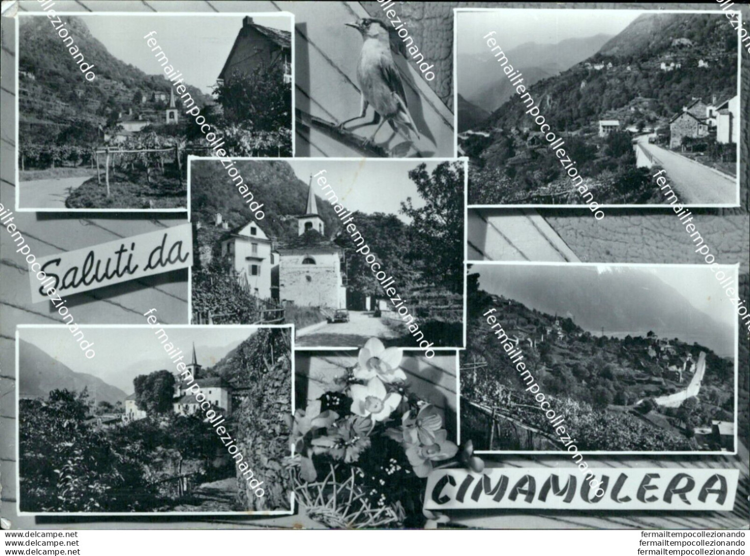 Bn1 Cartolina Saluti Da Cimamulera Provincia Di Verbania - Biella
