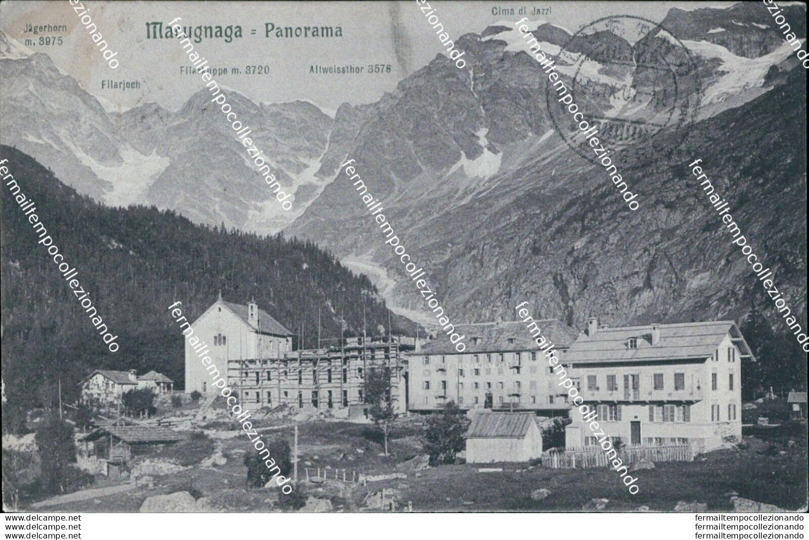 P827 Cartolina Macugnaga Panorama Provincia Di Verbania - Biella