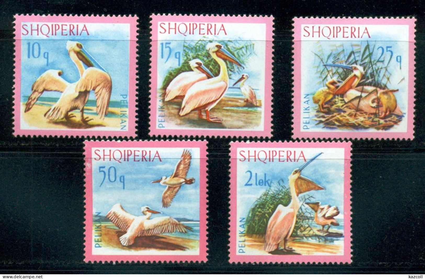 Albania  1967. Pelicans. Birds. Fauna.    MNH - Albanië