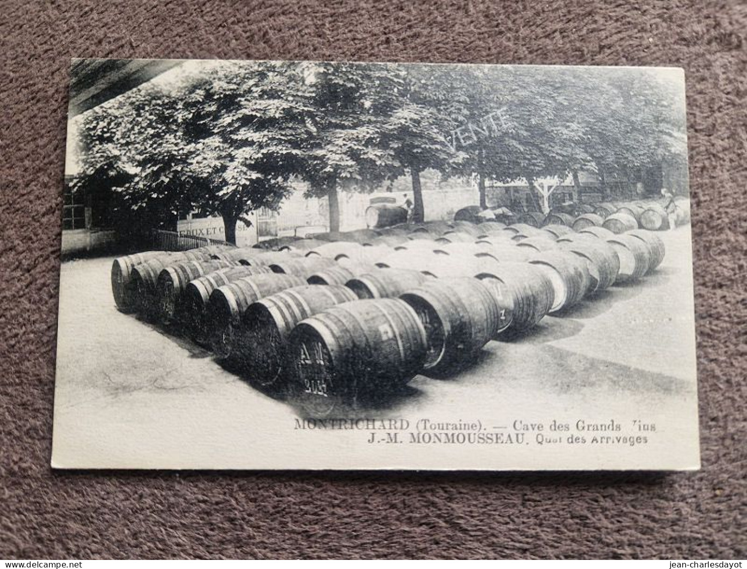 Carte Postale MONTRICHARD : Cave Des Grands Vins - Montrichard