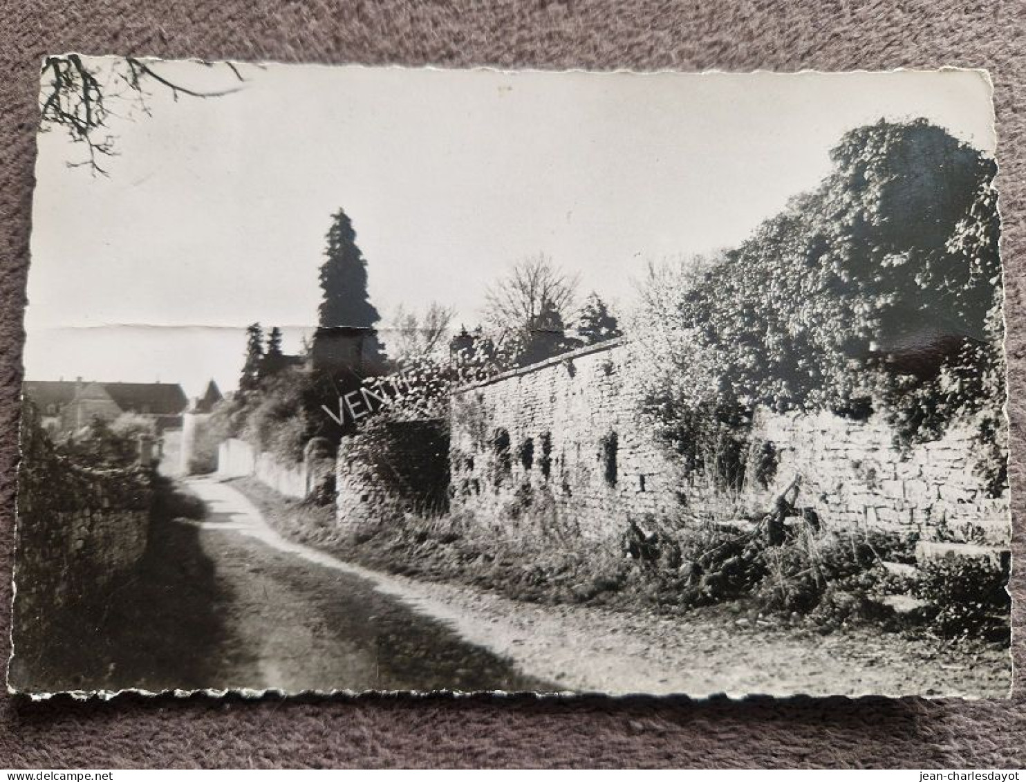 Carte Postale MOUTIERS-ST-JEAN : Chemin De Ronde Vieilles Fortifications - Other & Unclassified