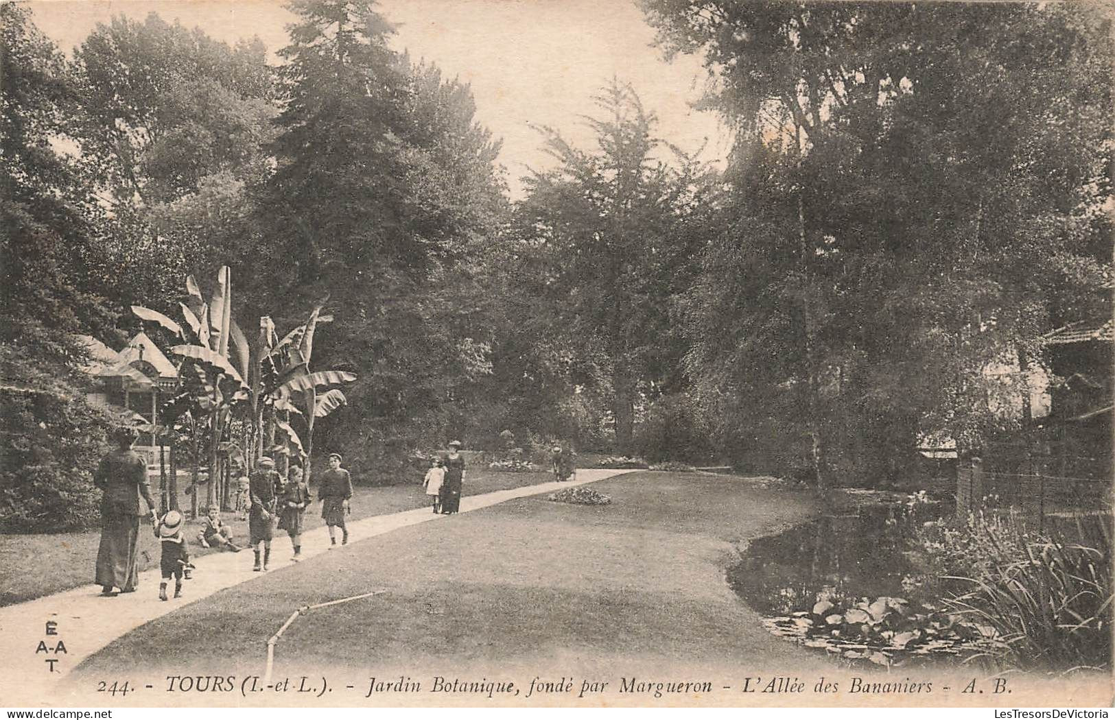 FRANCE - Tours - Jardin Botanique Fondé Par Margueron - L'Allée Des Bananiers - A.B - Animé -  Carte Postale Ancienne - Tours