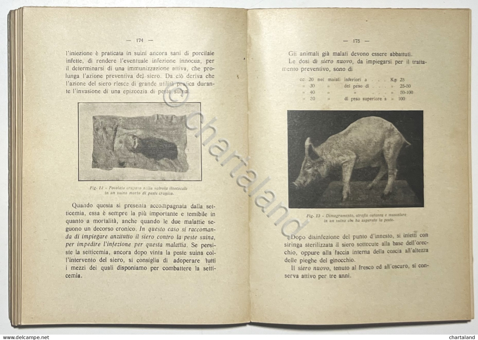 Istituto Sieroterapico - Dei Sieri E Vaccini Nella Medicina Veterinaria - 1924 - Andere & Zonder Classificatie