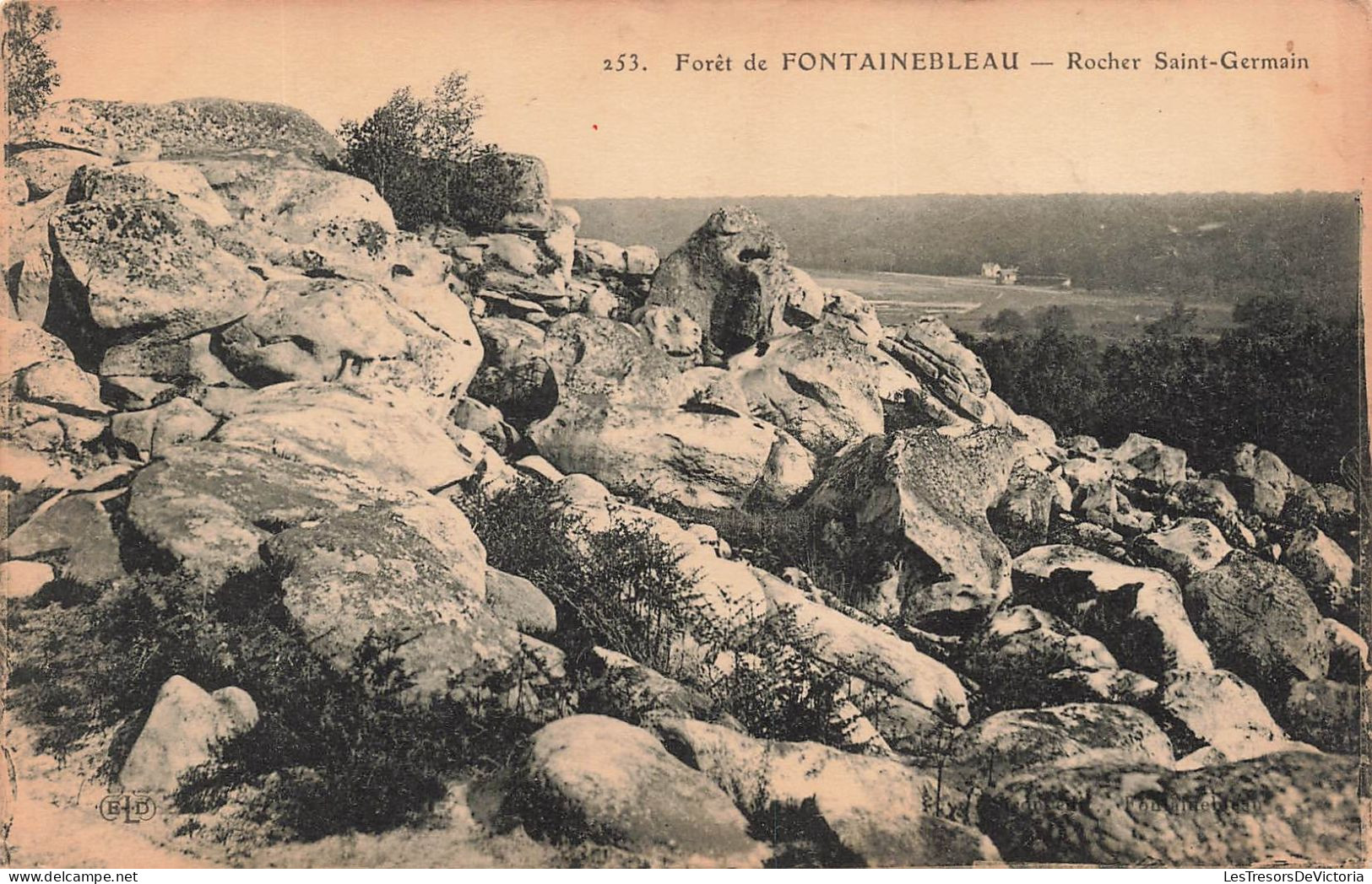 FRANCE - Fontainebleau - Forêt - Rocher Saint Germain - Carte Postale Ancienne - Fontainebleau