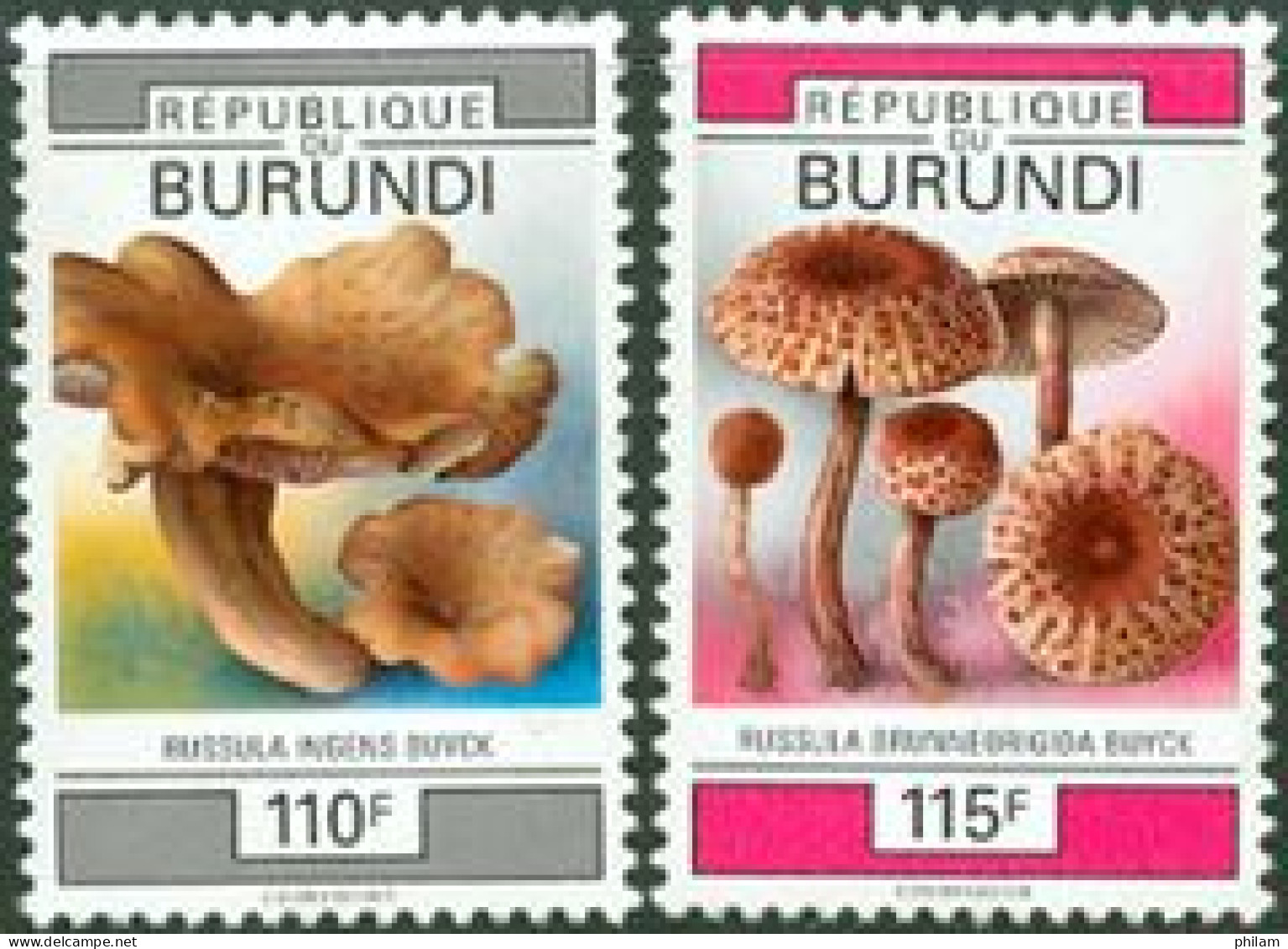 BURUNDI 1993 - Champignons - II - Champignons