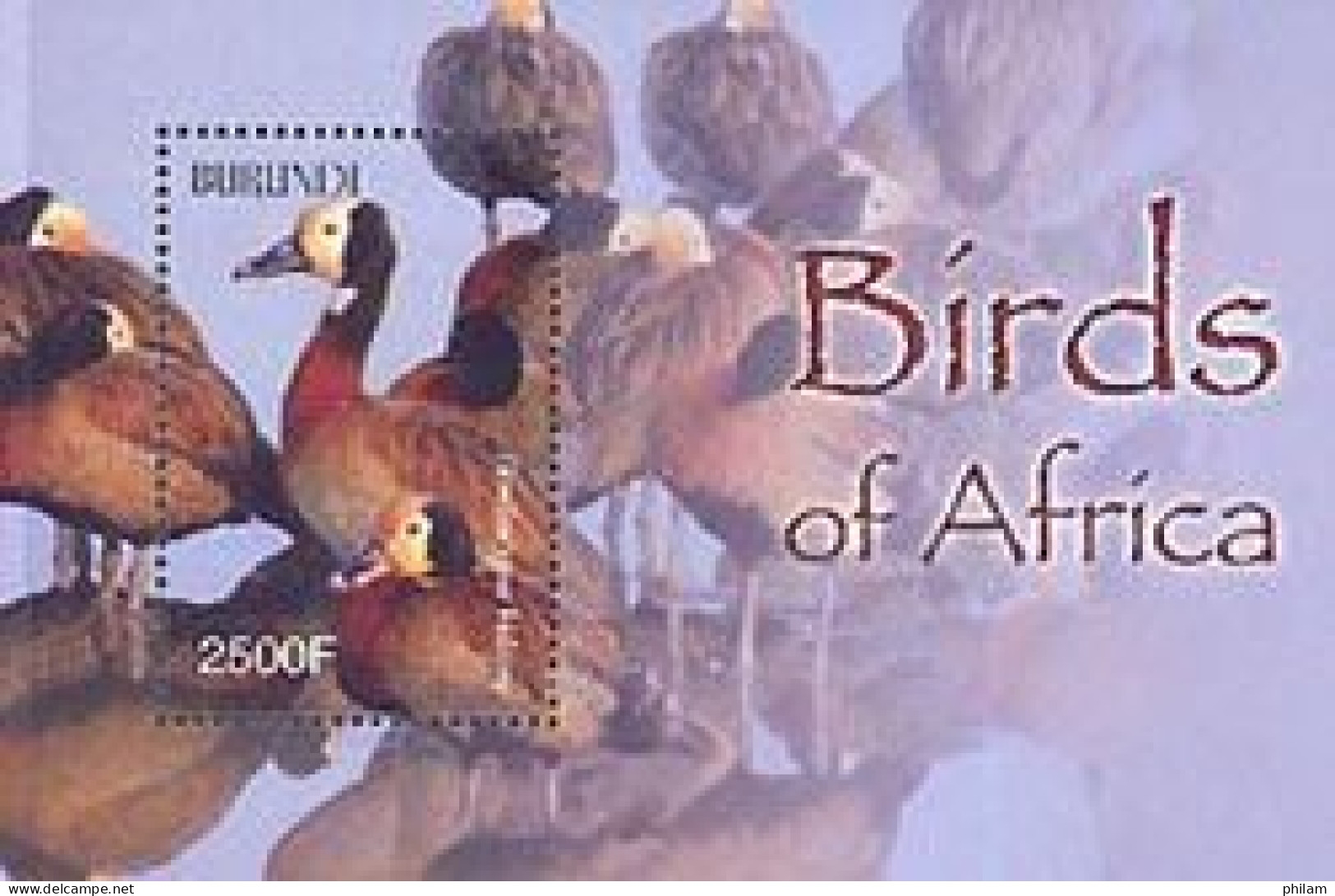BURUNDI 2004 - Oiseaux D'Afrique - Dendrocygnes Veufs - Bloc - Neufs