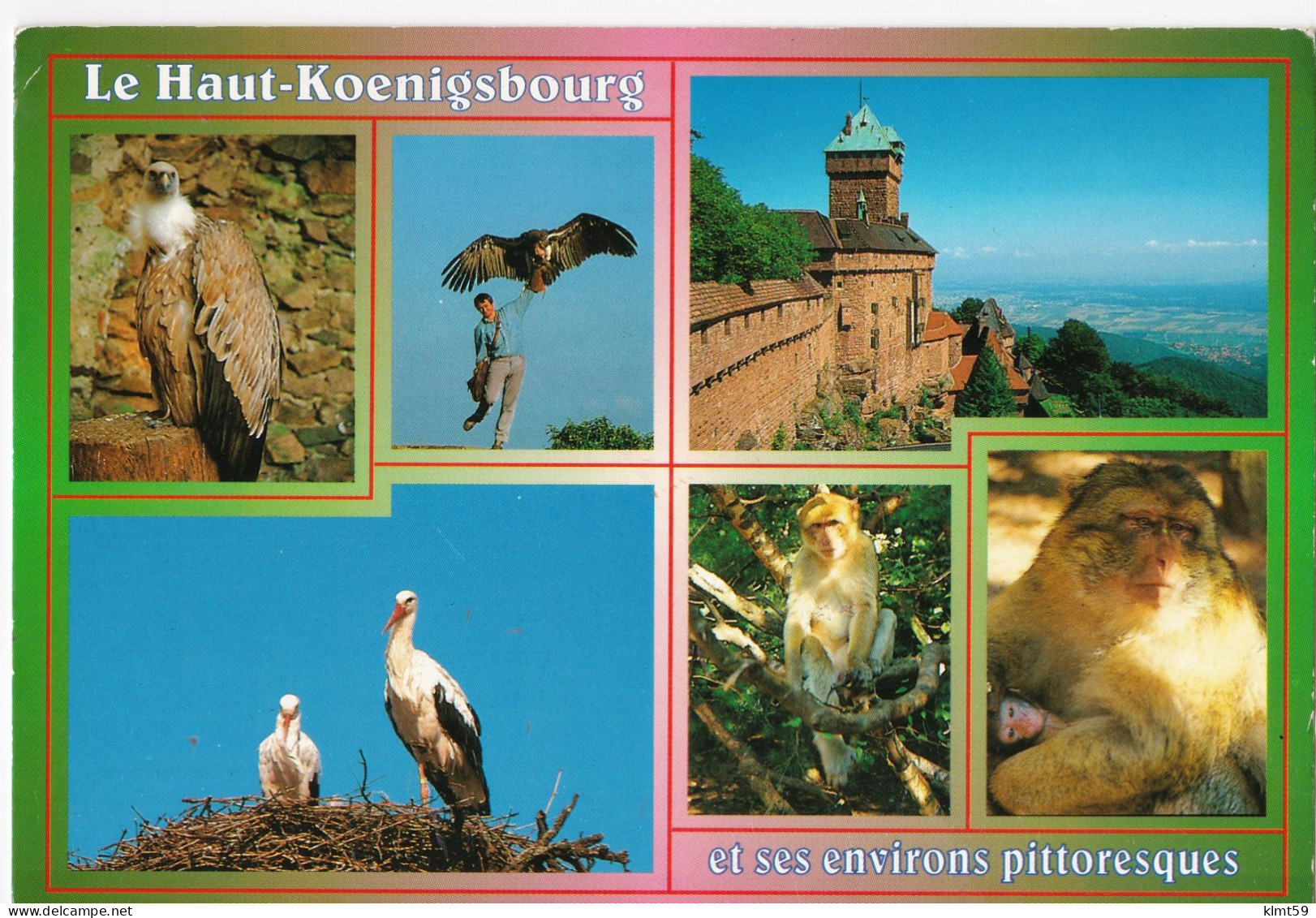 Le Haut-Koenigsbourg Et Ses Environs Pittoresques - Andere & Zonder Classificatie