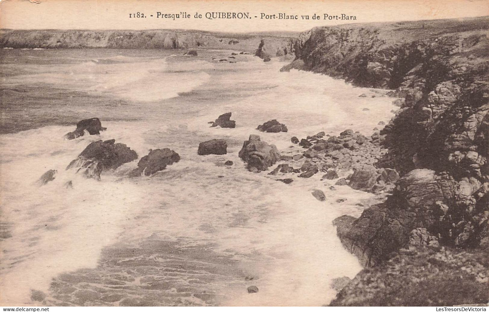 FRANCE - Presqu'île De Quiberon - Port-Blanc Vu De Port-Bara - Carte Postale Ancienne - Quiberon