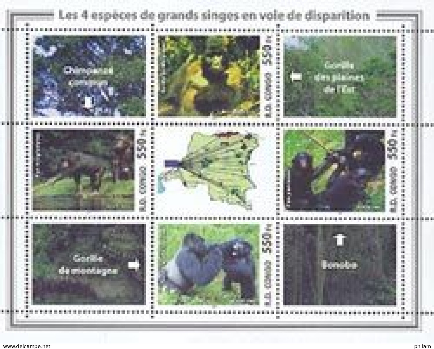 CONGO KINSHASA 2006 - Les Grands Singes - BF - Gorilla's