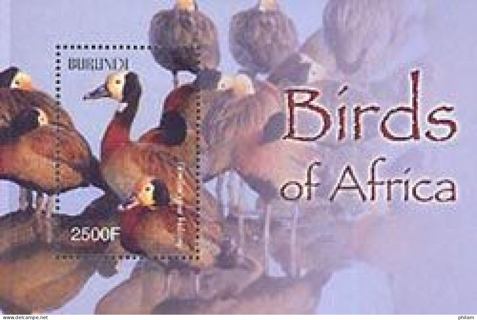 BURUNDI 2004 - Oiseaux D'Afrique - Dendrocygnes Veufs - Bloc - Canards