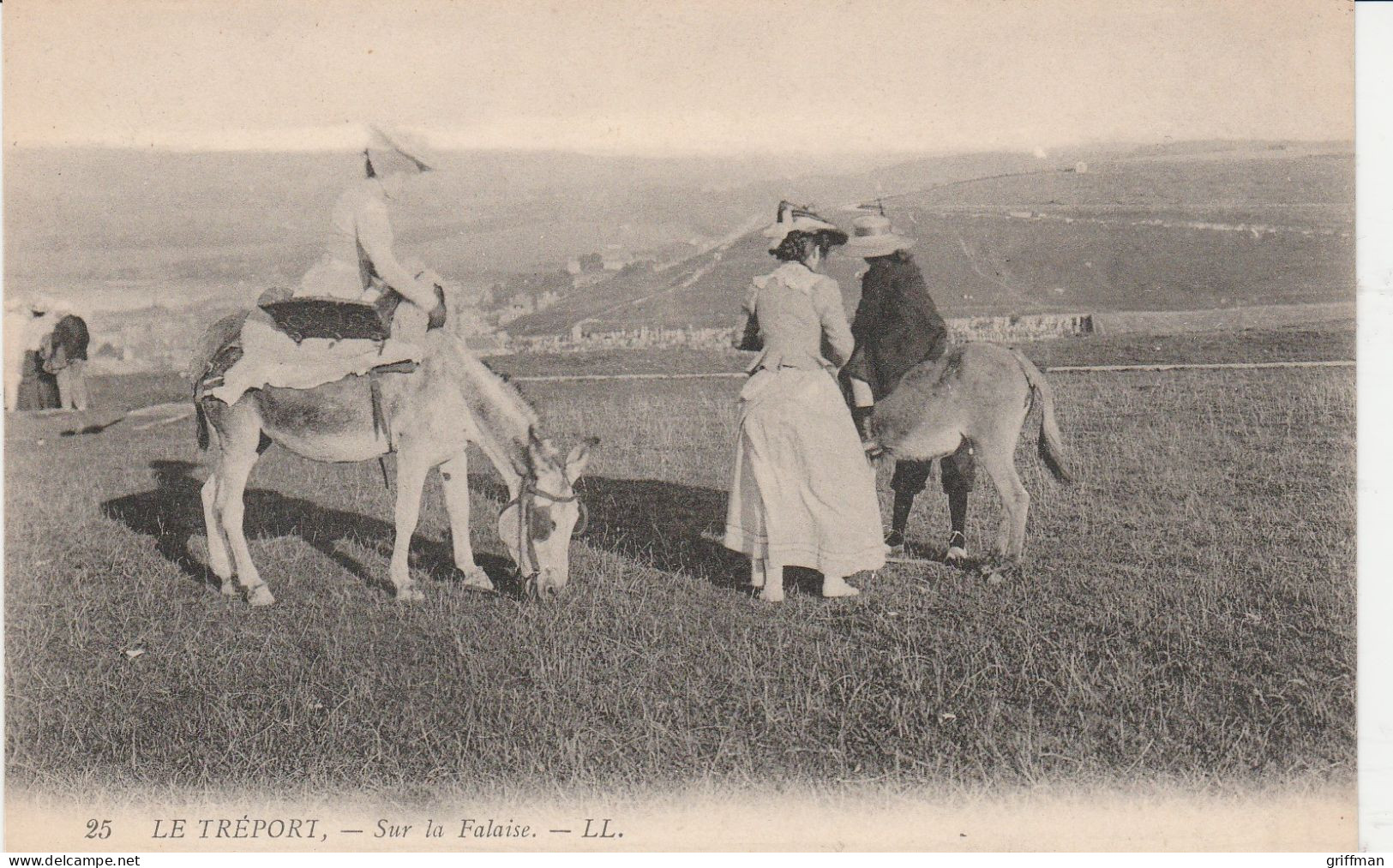 LE TREPORT SUR LA FALAISE PROMENADE A ANE TBE - Le Treport