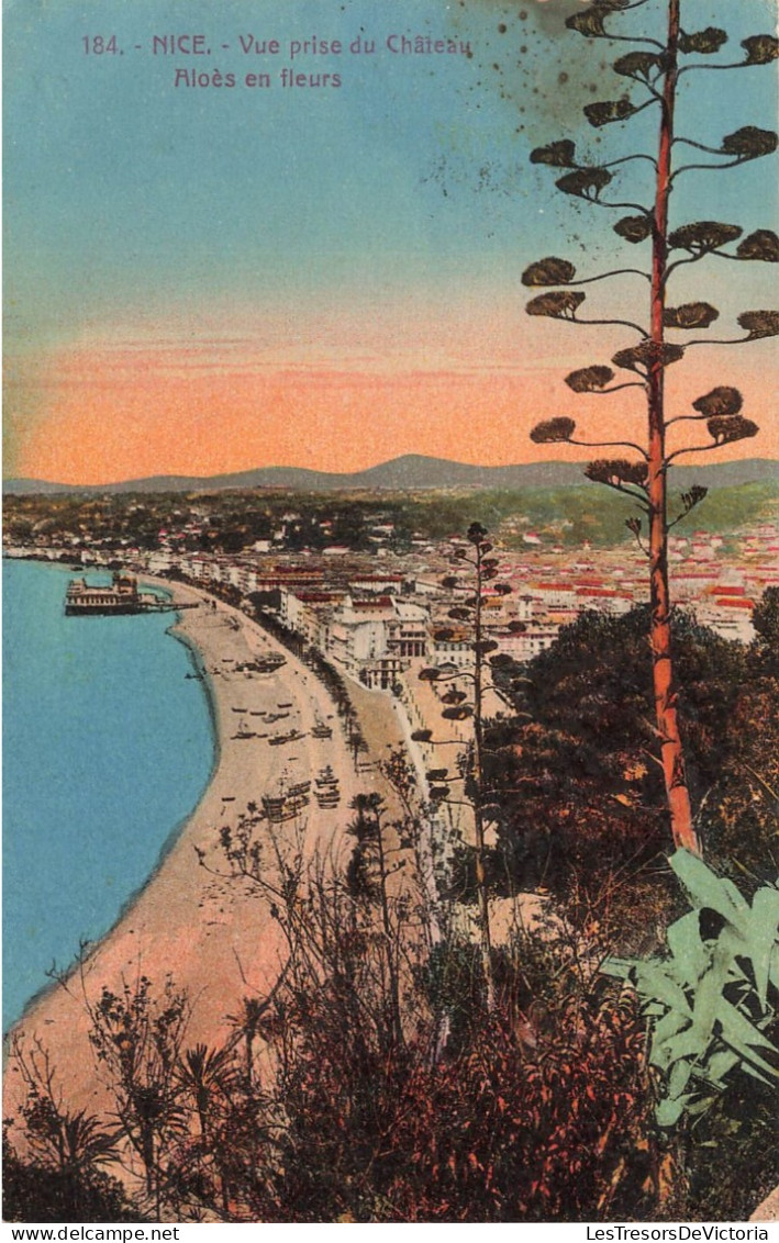 FRANCE - Nice - Vue Prise Du Château - Aloès En Fleurs - Carte Postale Ancienne - Autres & Non Classés