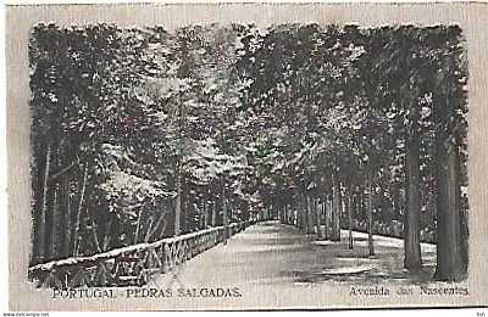 Portugal ** & Postal, Pedras Salgadas, Avenida Das Nascentes (688888) - Vila Real