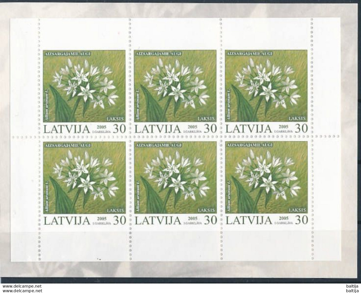 Latvia, Mi 632 ** MNH, Markenheft, Booklet / Plant, Wild Garlic, Allium Ursinum / World Stamp Expo Sydney 2005 - Sonstige & Ohne Zuordnung