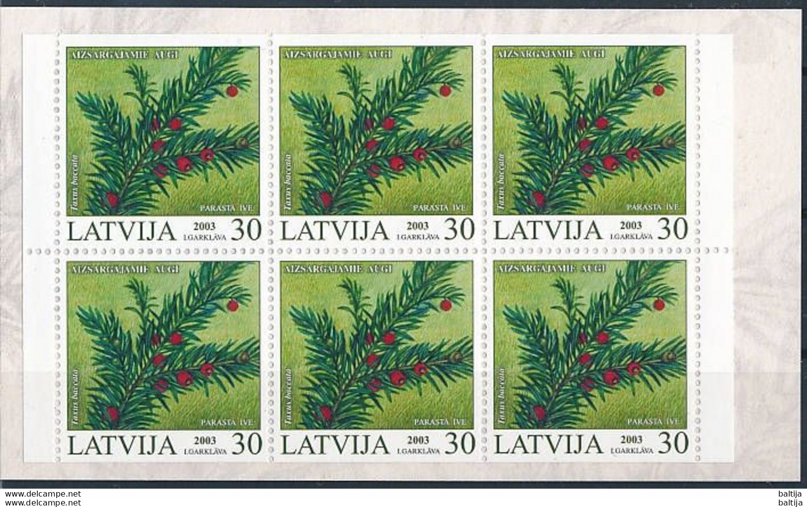 Latvia, Mi 588 ** MNH, Markenheft, Booklet / Plant, Common Yew, Taxus Baccata / PHILATELIA Cologne 2003 - Piante Velenose