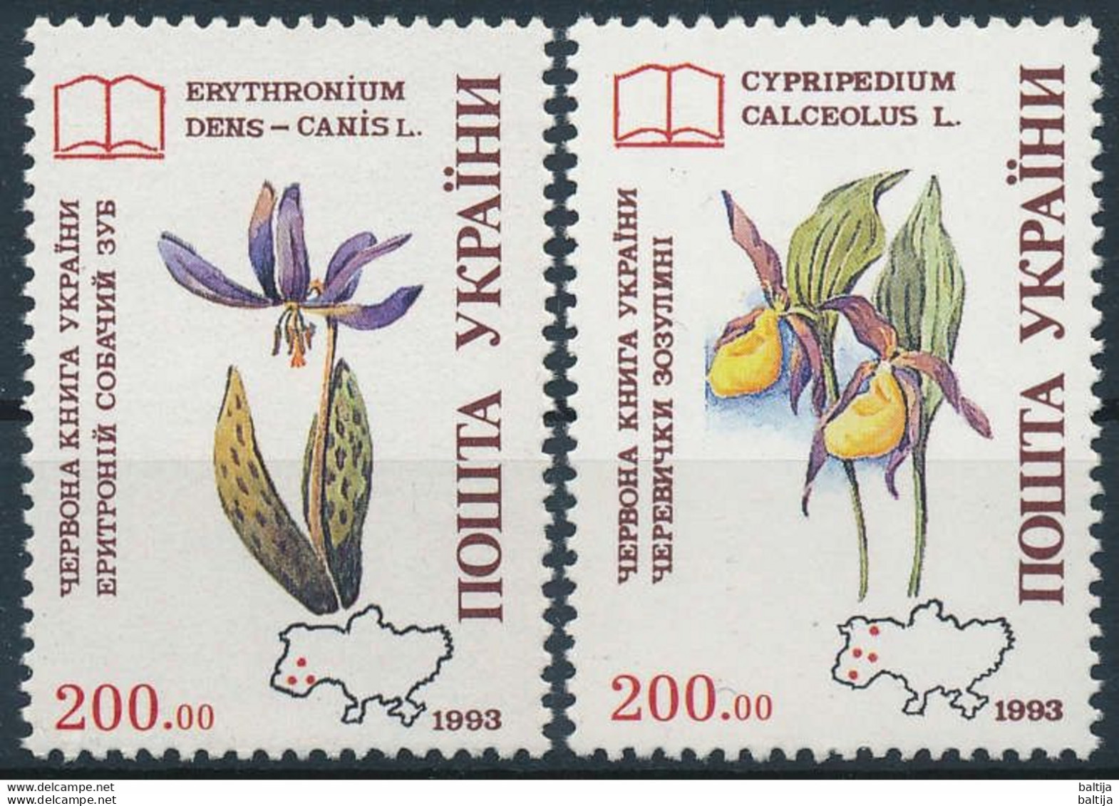 Ukraine, Mi 113-114 ** MNH / Plant, Flower, Orchid, Erythronium Dens-canis, Cypripedium Calceolus - Orchideen