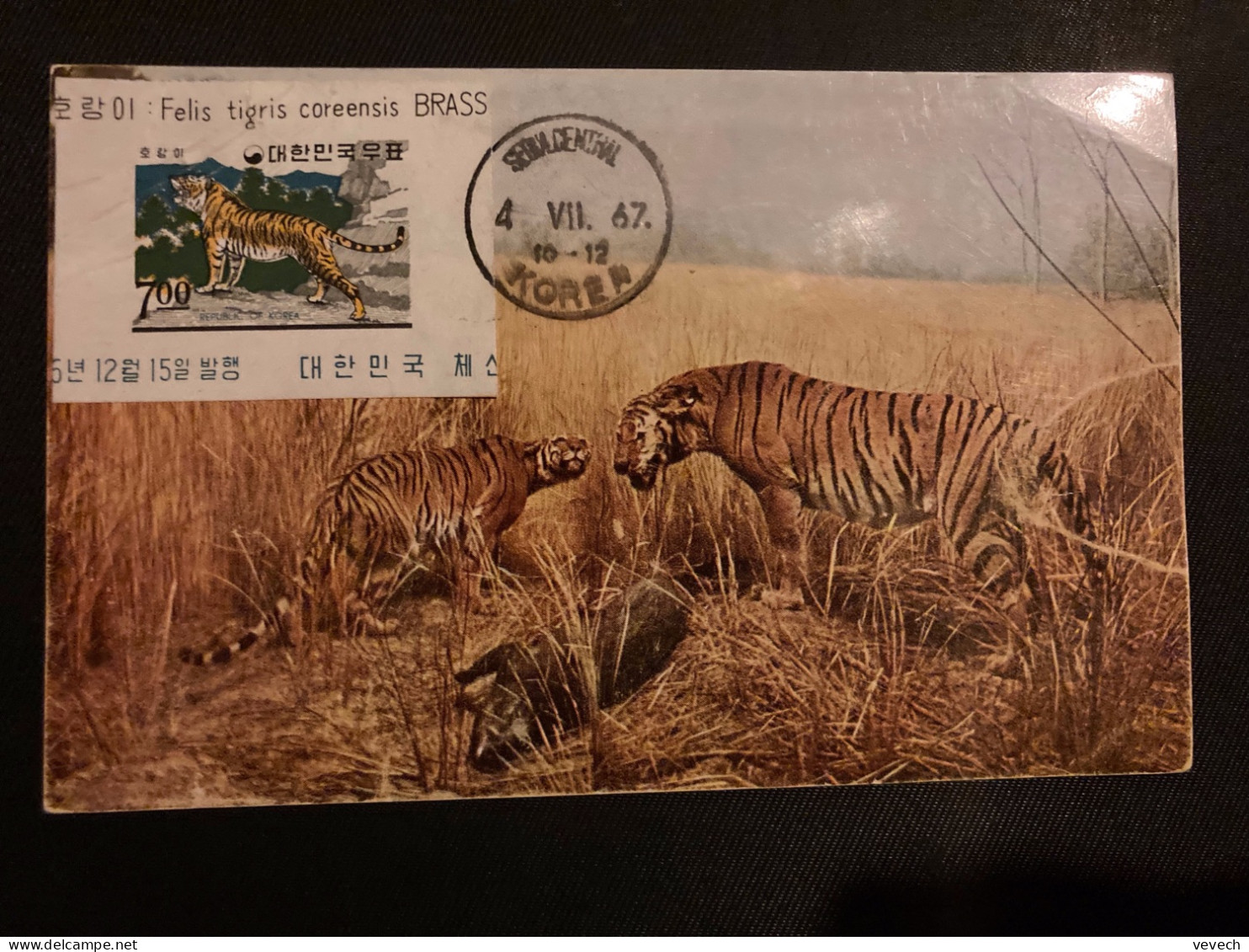 CP BENGAL TIGER VIGNETTE FELIS TIGRIS 7 00 OBL.4 VII 67 SEOUL CENTRAL - Corée Du Sud