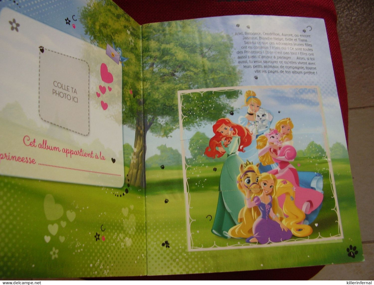 Album Chromos Images Vignettes Stickers Panini *** Princesses *** - Albums & Katalogus