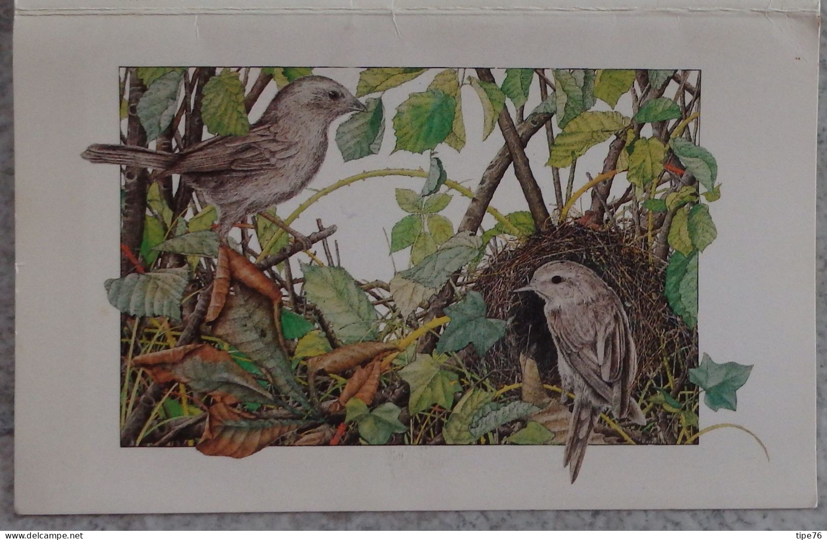 Petit Calendrier De Poche 1983 Illustration Alan Baker Oiseaux Nid - Librairie Noisy Le Grand - Klein Formaat: 1981-90
