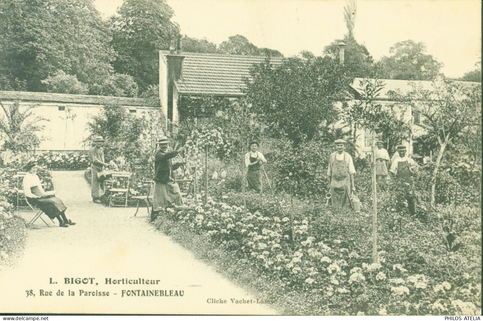 CPA CP L Bigot Horticulteur Fontainebleau Cliché Vachet Lamy - Fontainebleau