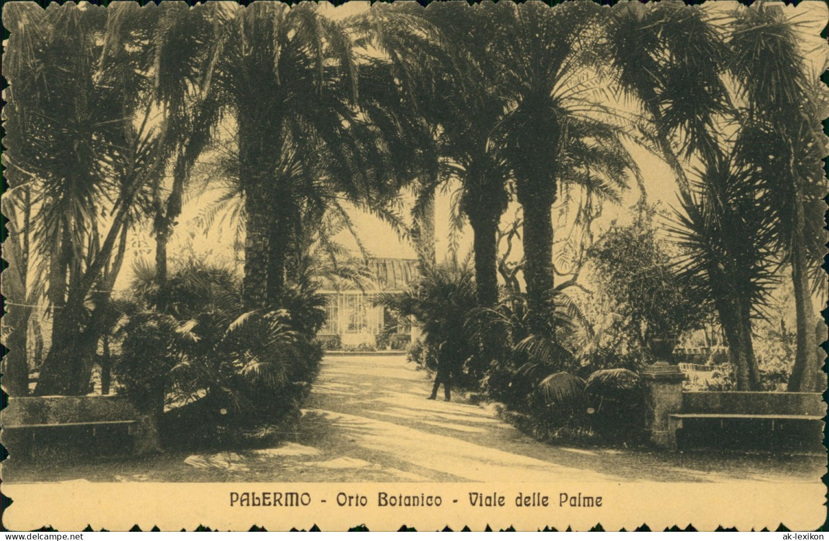 Cartoline Palermo Palermo (Palermu) Orto Botanico Viale Delle Palme 1922 - Autres & Non Classés