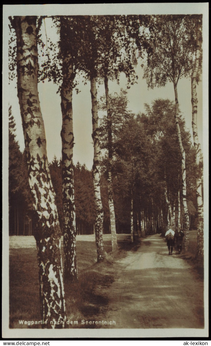 Ansichtskarte Dorfhain-Tharandt Wegpartie Nach Dem Seerenteich 1928 - Tharandt