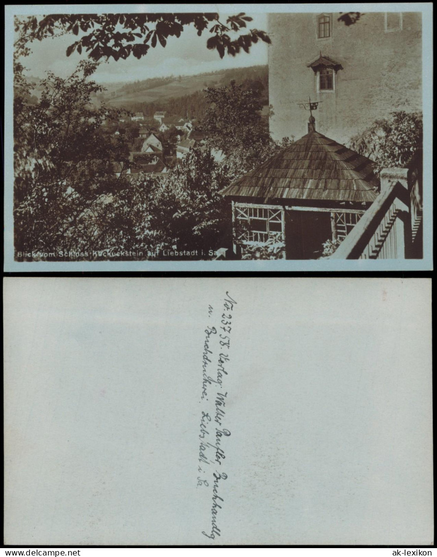 Ansichtskarte Liebstadt Blick Vom Schloß Kuckuckstein 1926 - Liebstadt