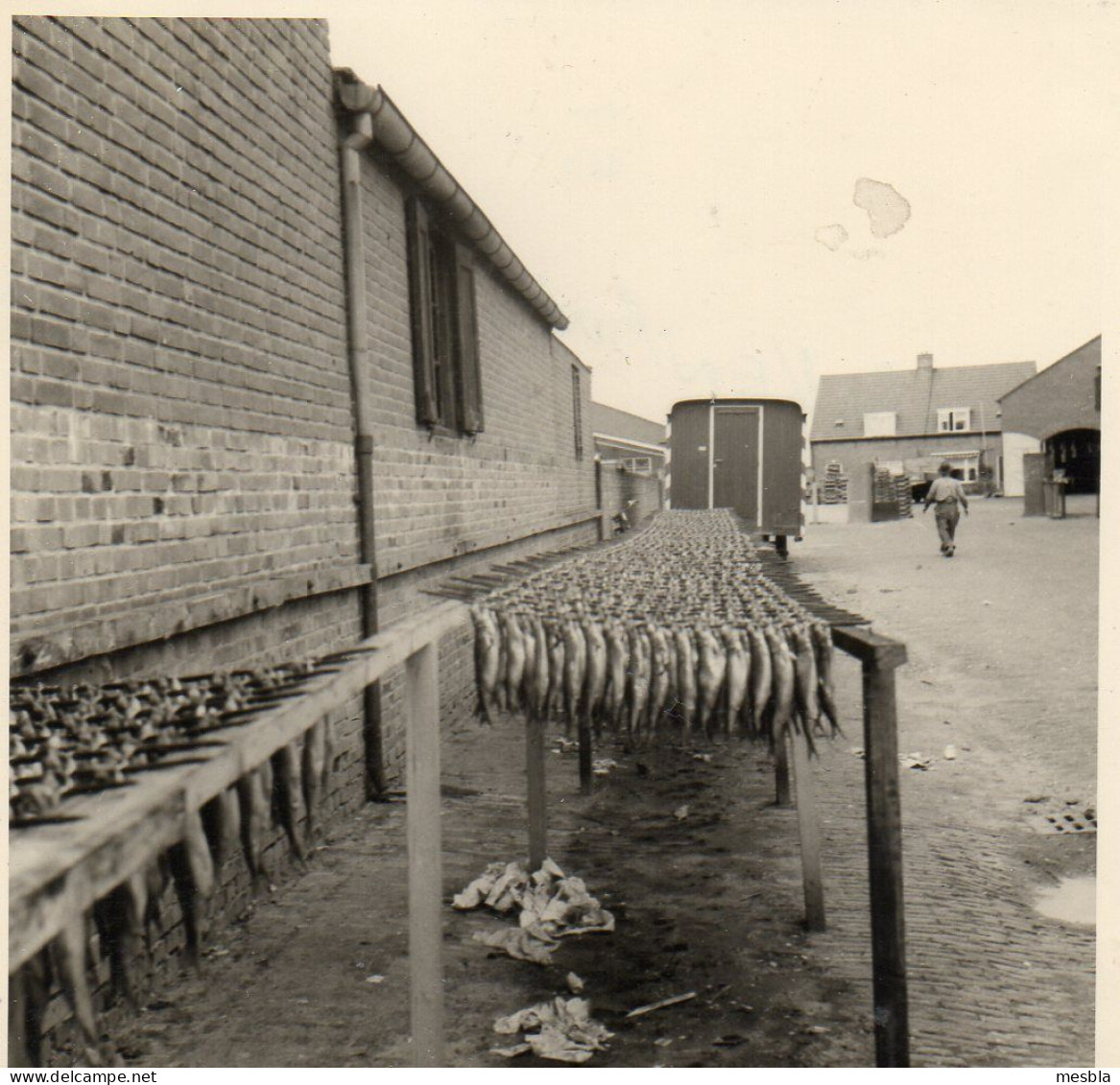 Photo -  SPAKENBURG  -  Séchoir à Harengs  -  Aout 1959 - Lugares