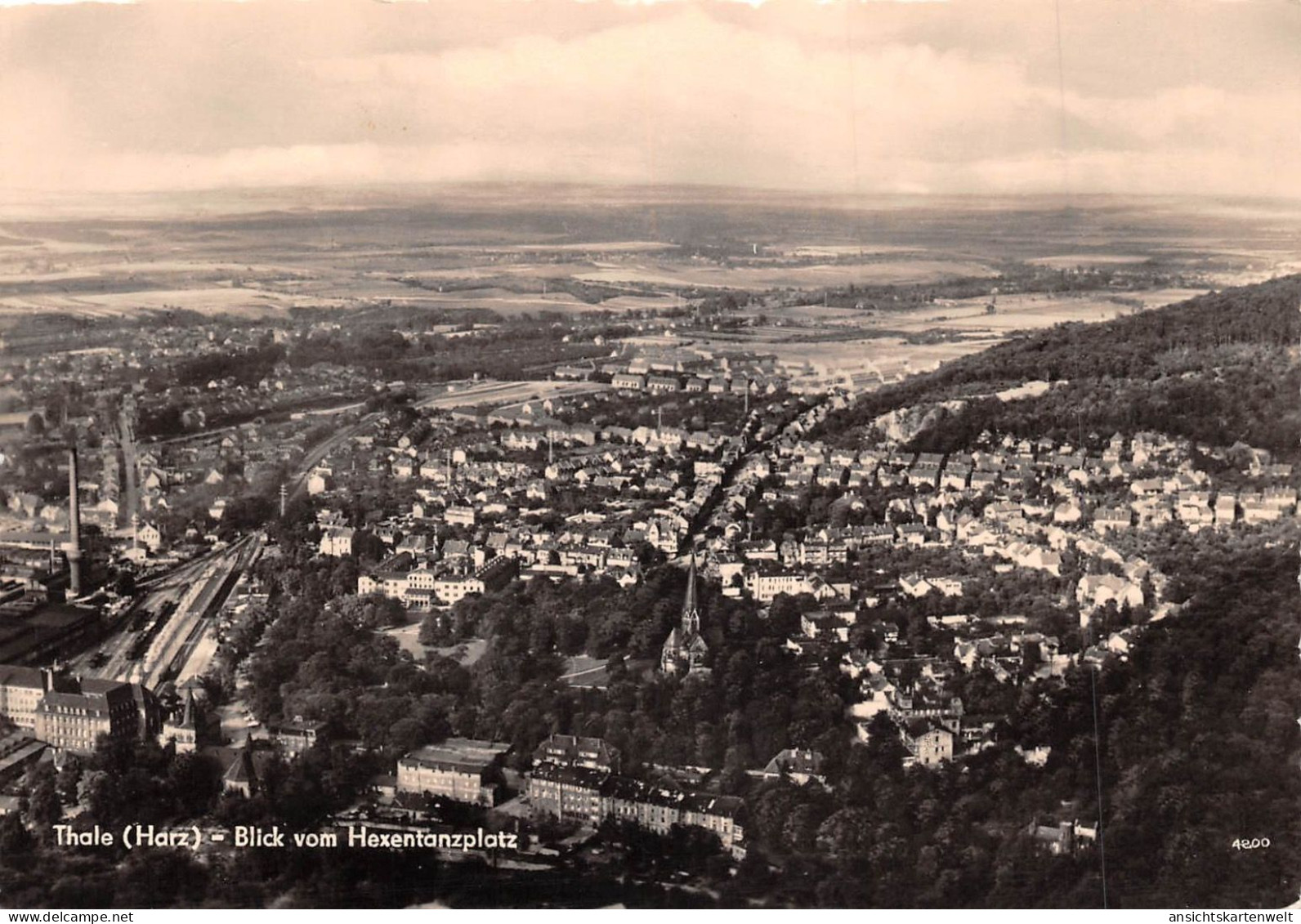 Thale Panorama Blick Vom Hexentanzplatz Glca.1960 #171.824 - Other & Unclassified