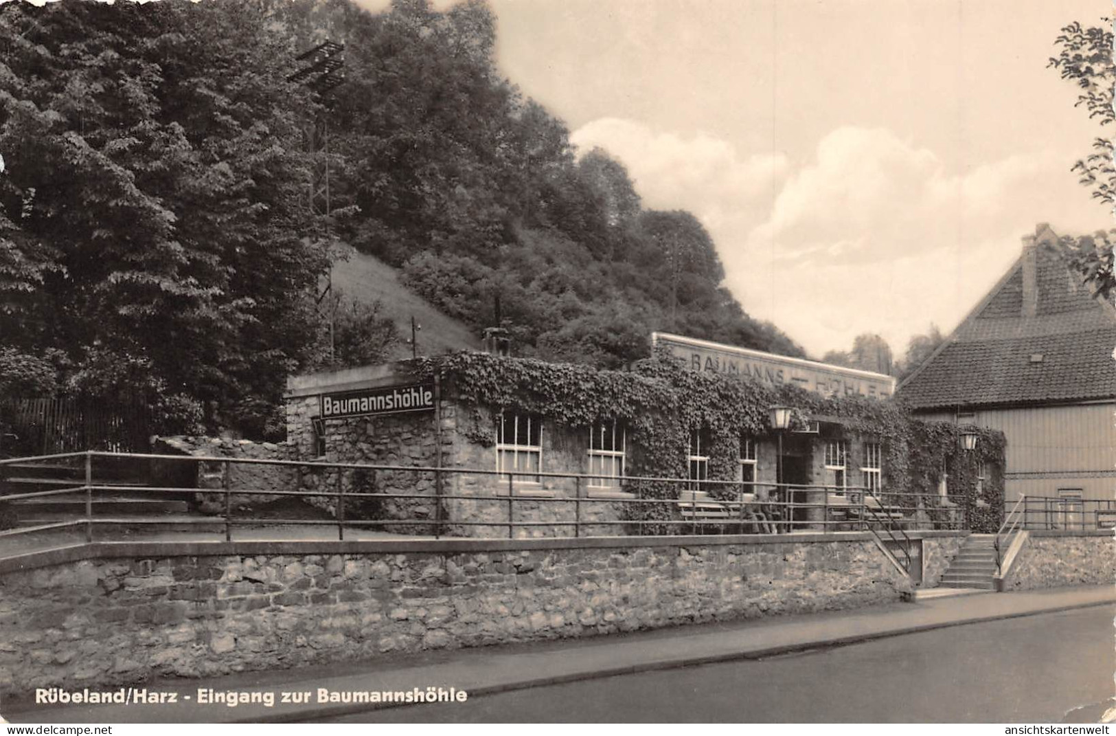 Rübeland/Harz Eingang Zur Baumannshöhle Gl1958 #171.835 - Sonstige & Ohne Zuordnung