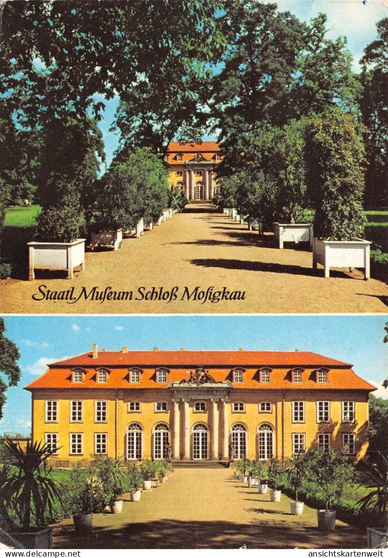 Dessau Staatliches Museum Schloss Mosigkau Gl1981 #171.855 - Sonstige & Ohne Zuordnung