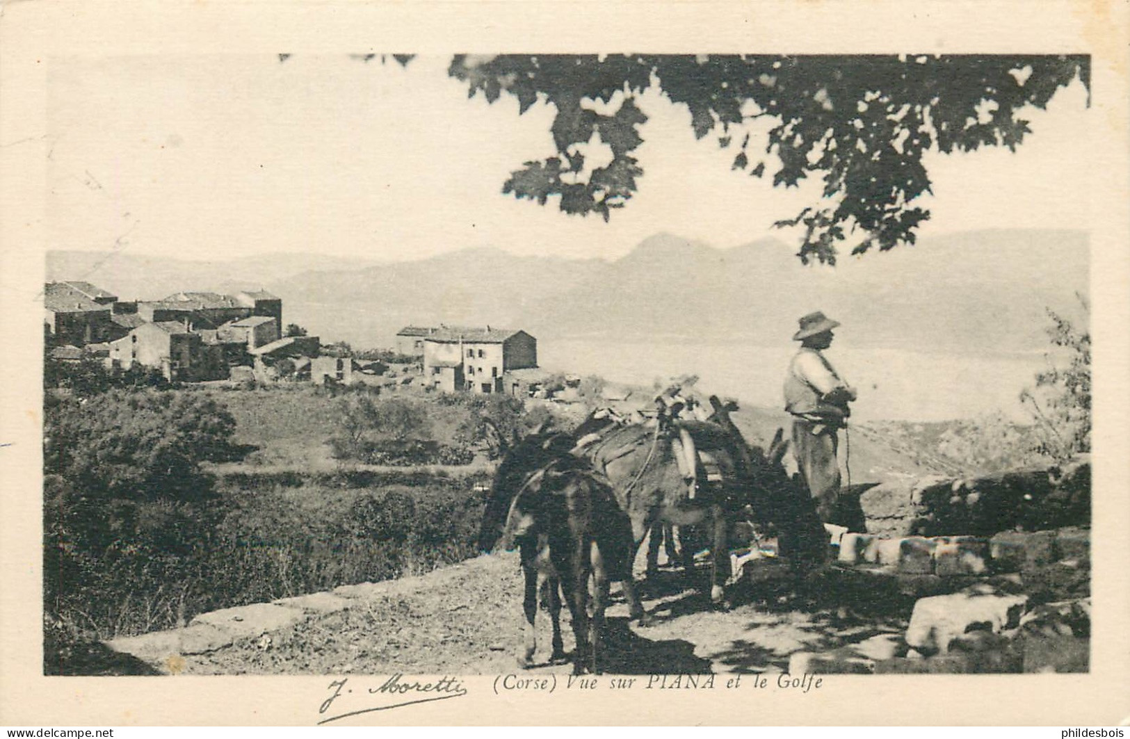 CORSE  PIANA  Vue De Piana Et Le Golfe - Sonstige & Ohne Zuordnung