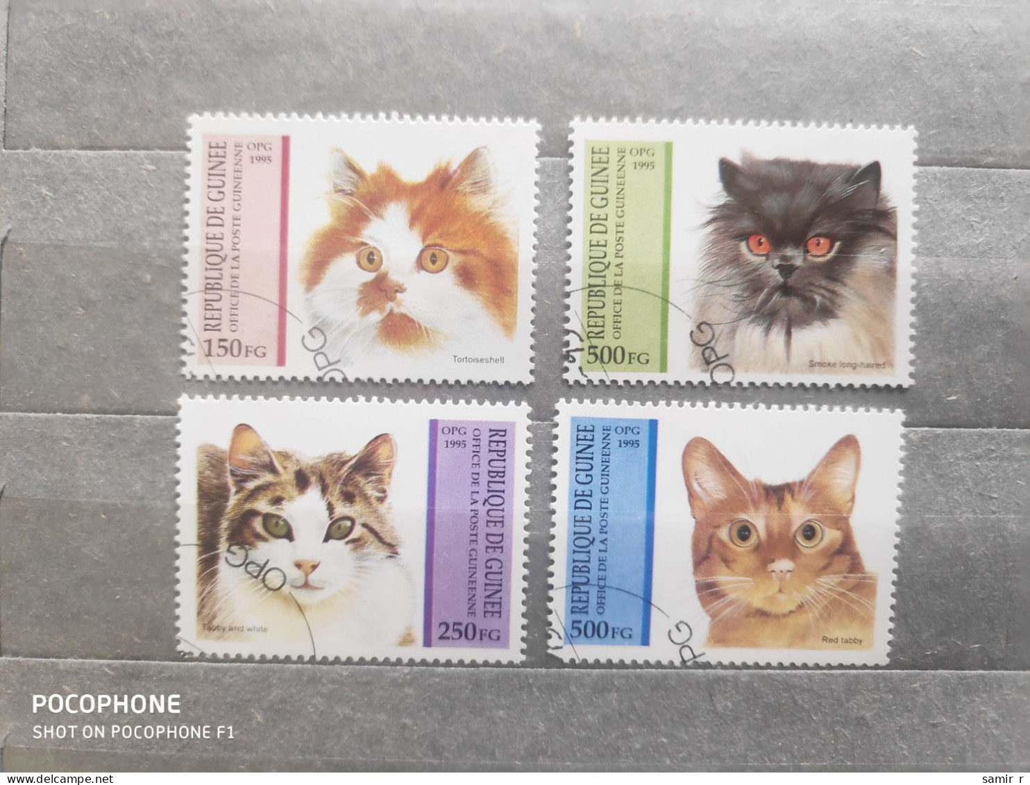 1995	Guinea	Cats (F97) - Guinea (1958-...)