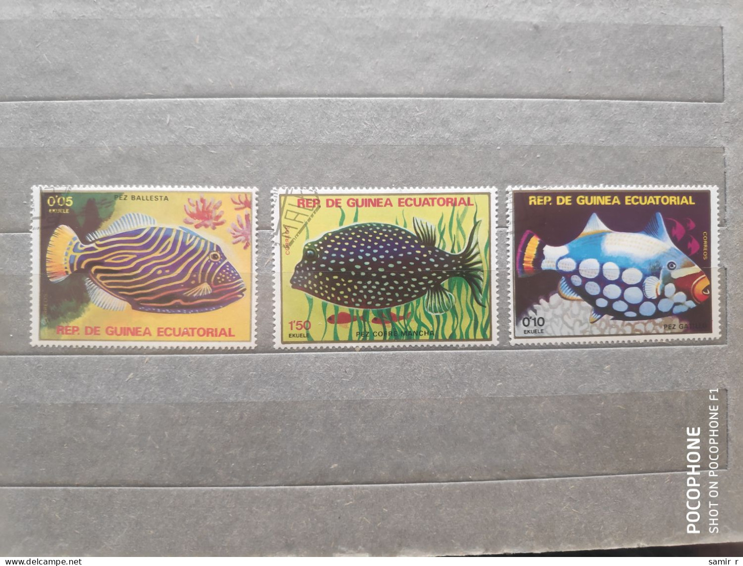 Guinea	Fishes (F97) - Guinea (1958-...)