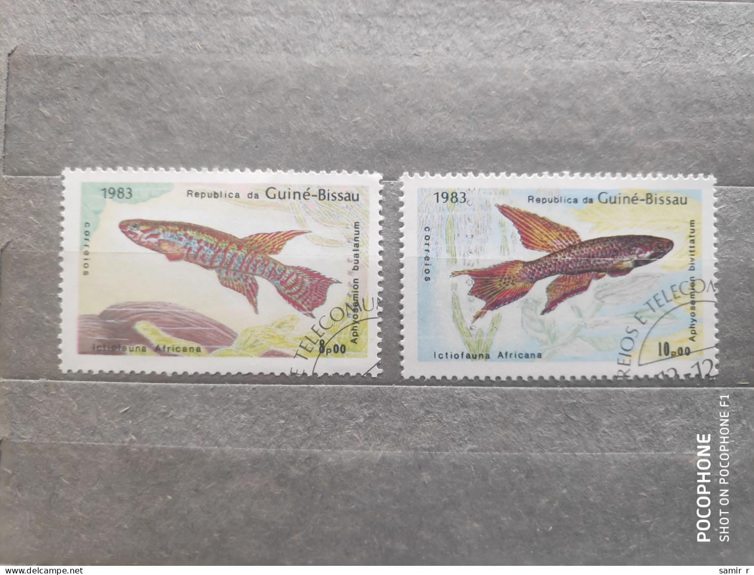 1983	Guinea	Fishes (F97) - Guinée (1958-...)