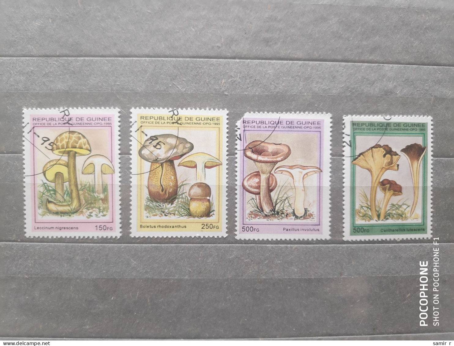 1995	Guinea	Mushrooms (F97) - República De Guinea (1958-...)