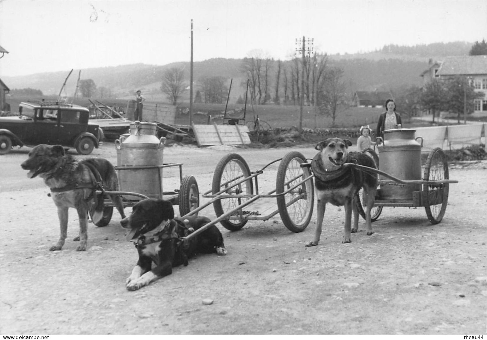 ¤¤  -   Lot De 3 Cartes D'Attelage De Chiens  -  Voiture à Chien     -  ¤¤ - Hunde