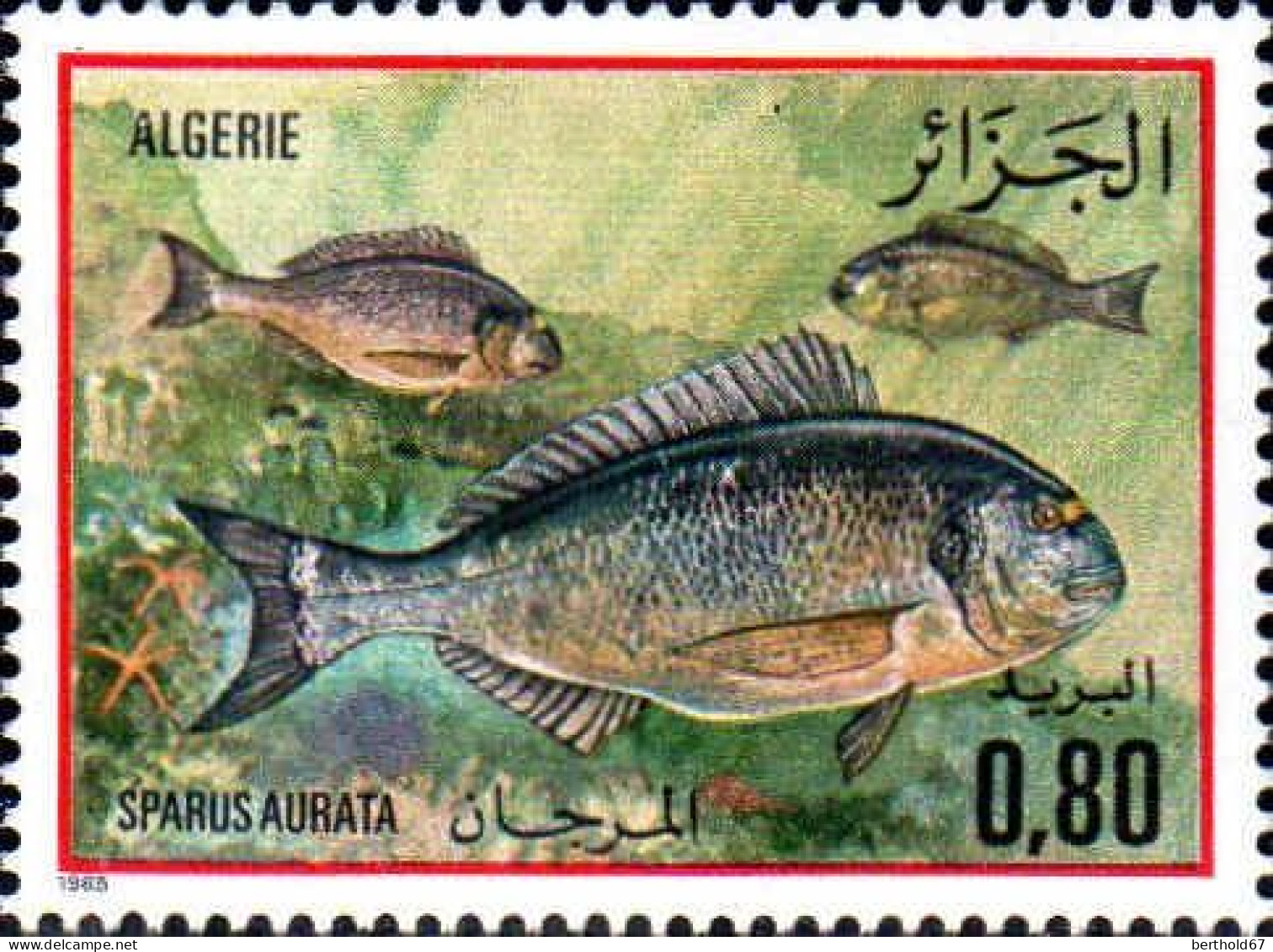 Algérie (Rep) Poste N** Yv: 831/834 Poissons De La Méditerranée - Algerije (1962-...)