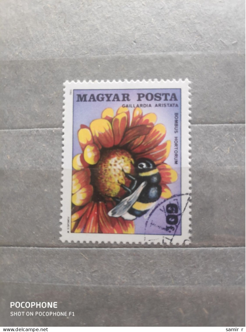 1980	Hungary	Bees (F97) - Usati