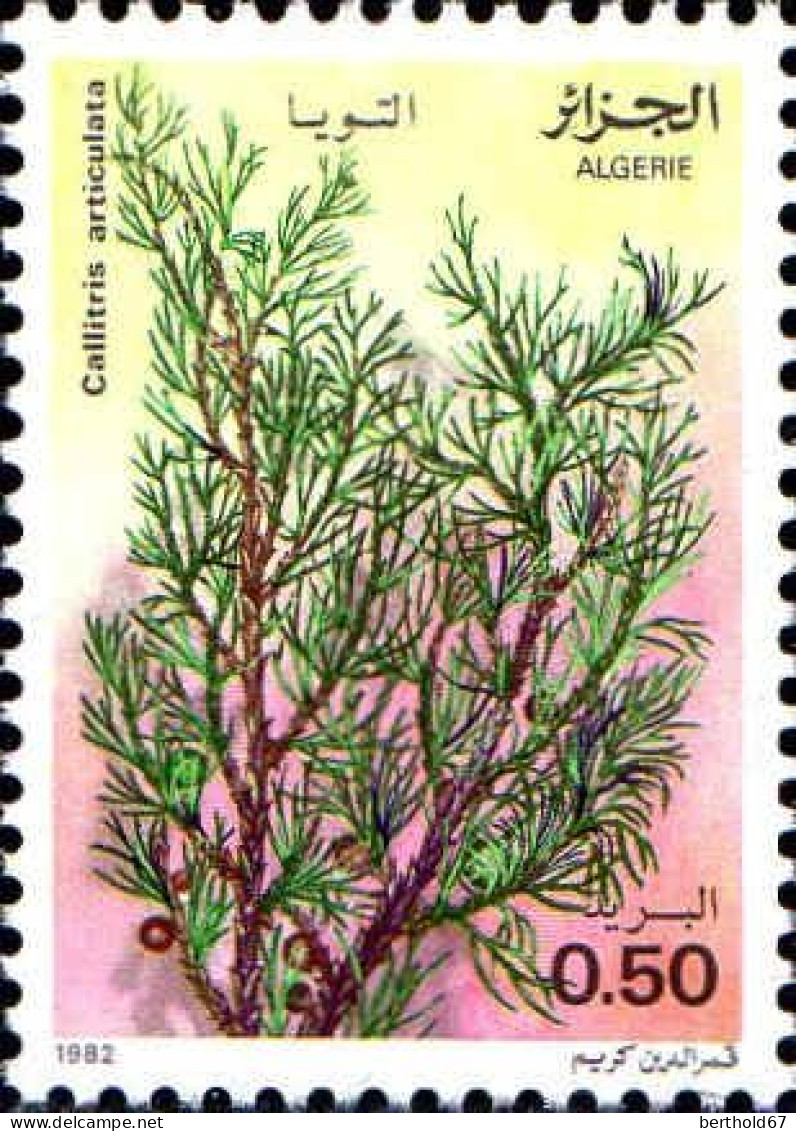 Algérie (Rep) Poste N** Yv: 762/765 Plantes Médicinales - Algeria (1962-...)