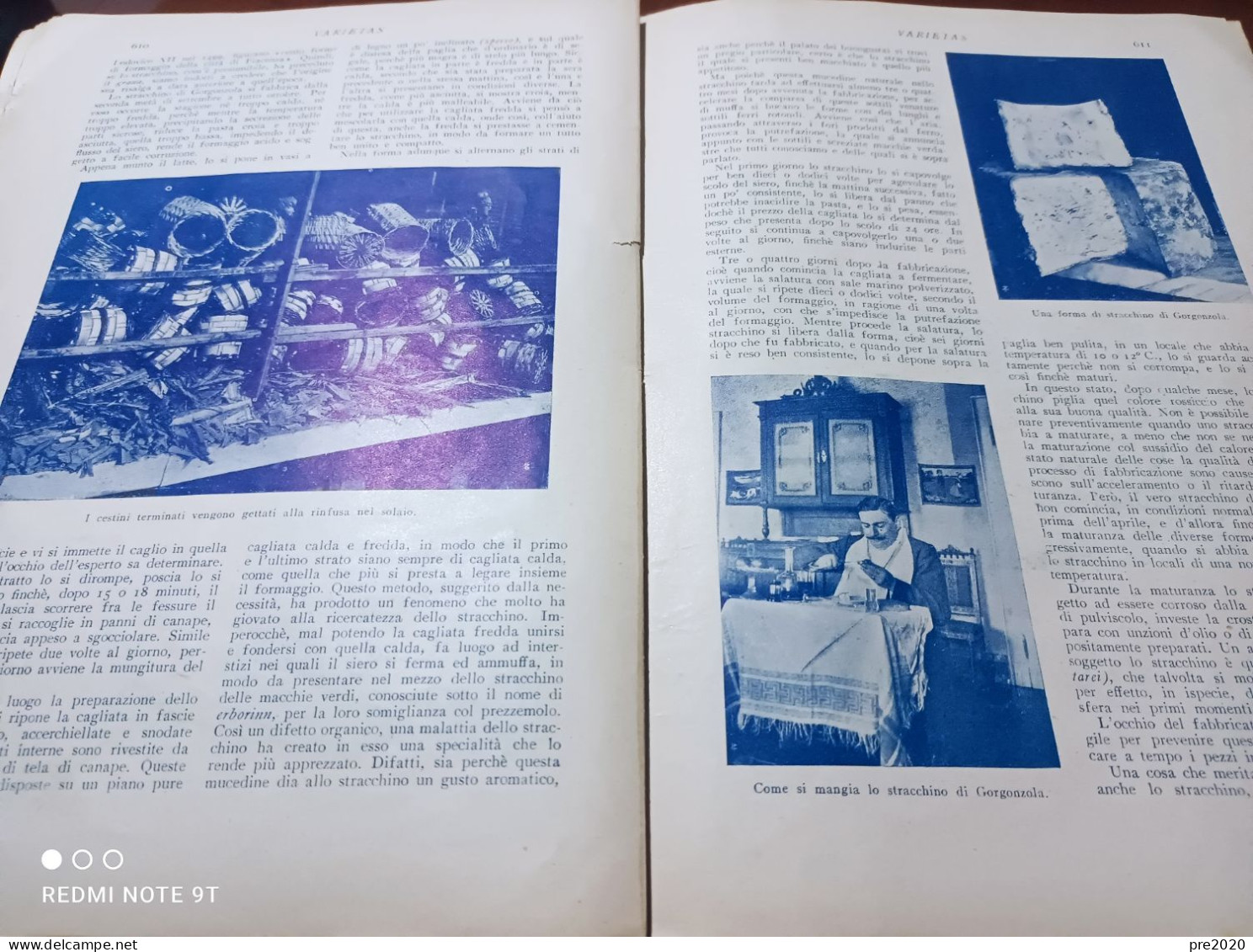 VARIETAS 1909 LO STRACCHINO DI GORGONZOLA COSTUMI DELL’ISTRIA CERVO LIGURIA LE ARANCE DI SORRENTO - Altri & Non Classificati