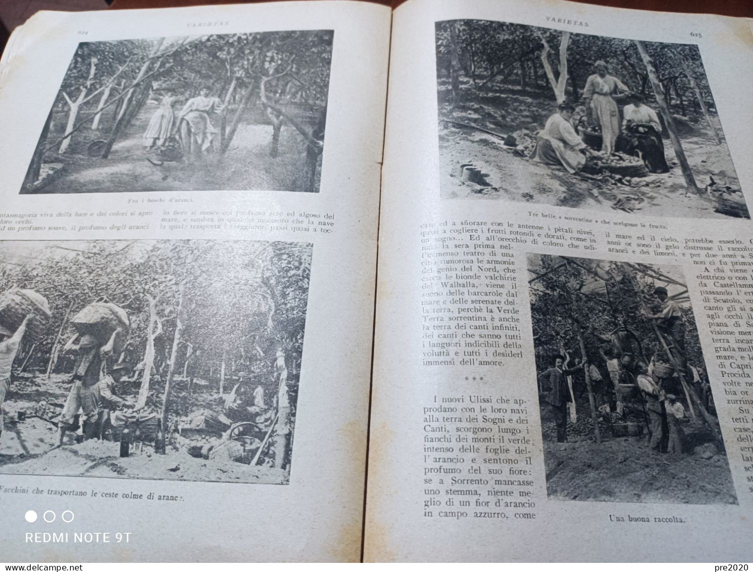 VARIETAS 1909 LO STRACCHINO DI GORGONZOLA COSTUMI DELL’ISTRIA CERVO LIGURIA LE ARANCE DI SORRENTO