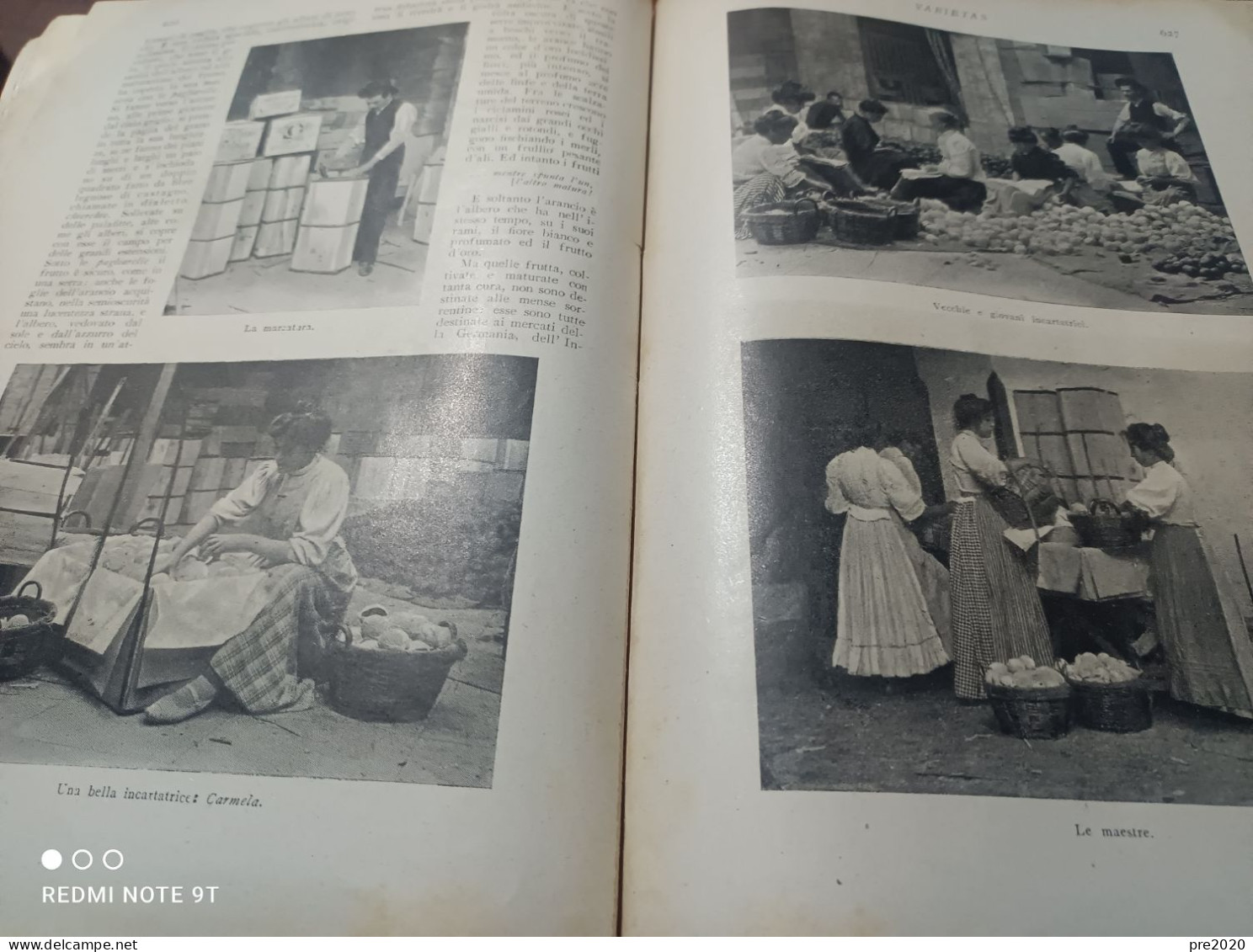 VARIETAS 1909 LO STRACCHINO DI GORGONZOLA COSTUMI DELL’ISTRIA CERVO LIGURIA LE ARANCE DI SORRENTO