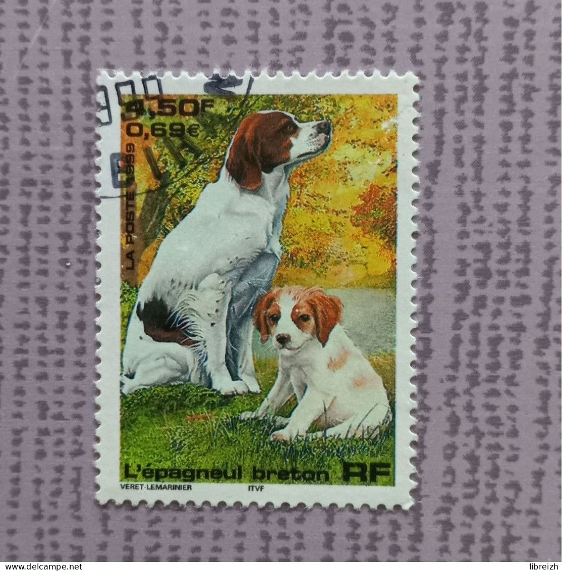Chiens : Epagneul Breton  N° 3286 Année 1999 - Used Stamps