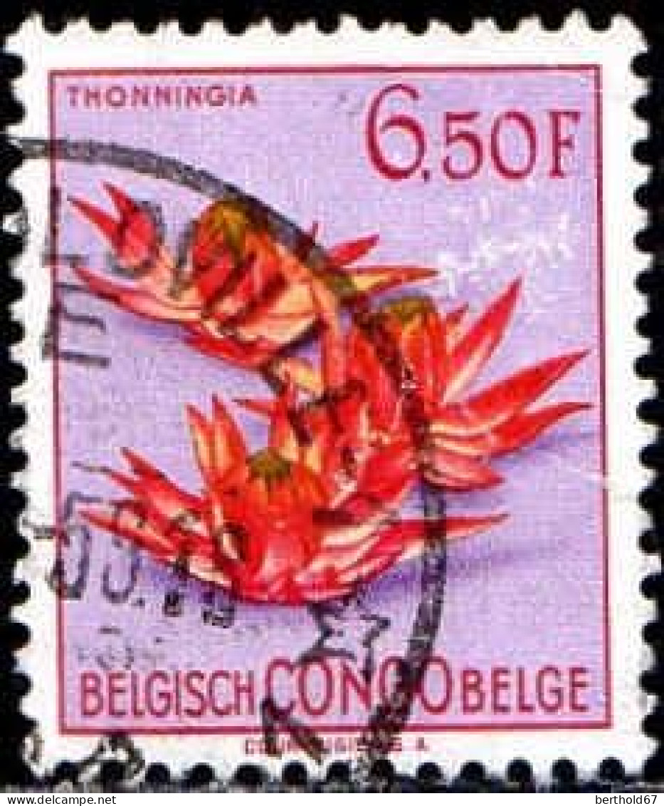 Congo Belge Poste Obl Yv:317 Mi:310 Thonningia (TB Cachet Rond) - Autres & Non Classés