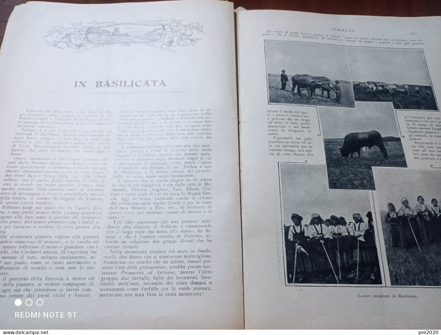 VARIETAS 1909 CAVE DI MARMO CARRARA BASILICATA - Altri & Non Classificati