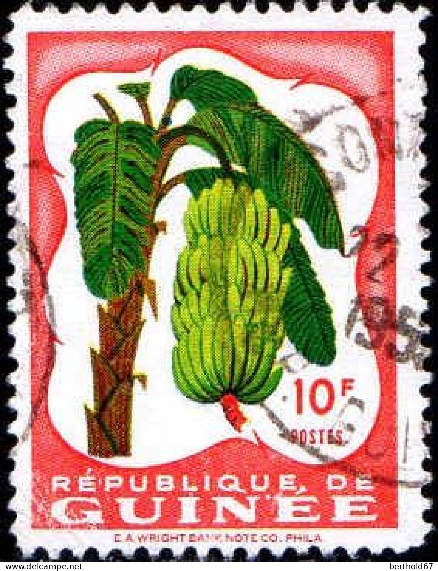 Guinée (Rep) Poste Obl Yv:  16 Mi:16 Regime De Bananes (Beau Cachet Rond) - Fruits