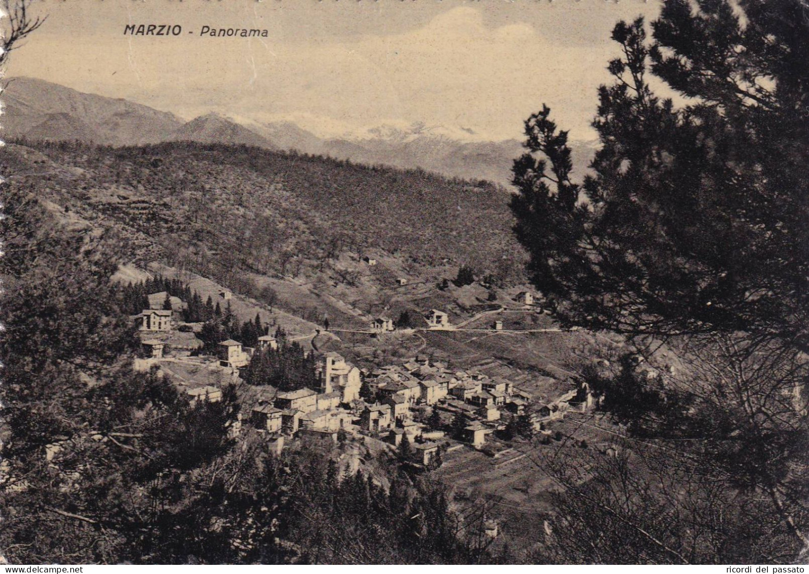 Cartolina Marzio ( Varese ) Panorama - Varese